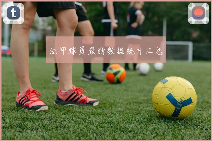 法甲球员最新数据统计汇总