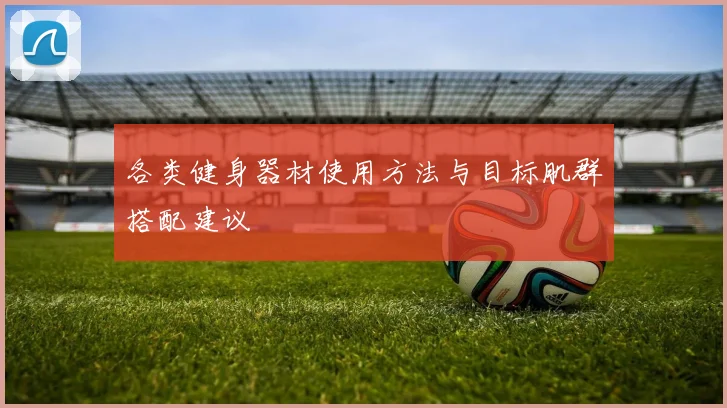 各类健身器材使用方法与目标肌群搭配建议