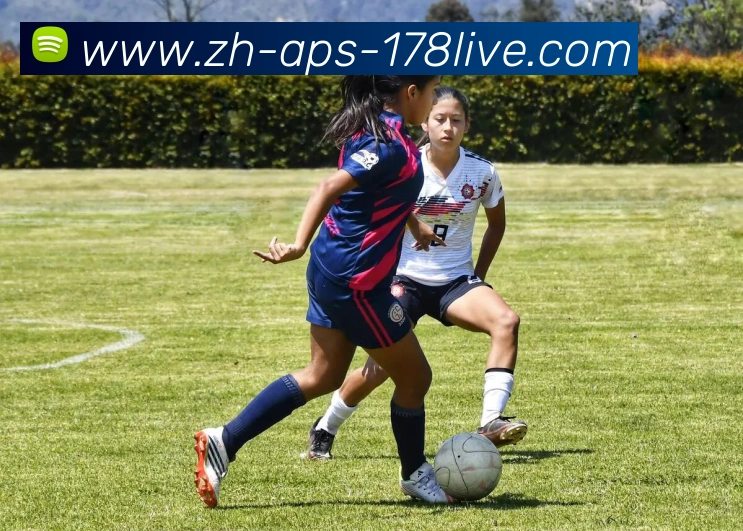 178体育直播品牌故事