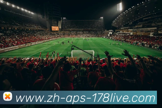 178体育直播服务体系